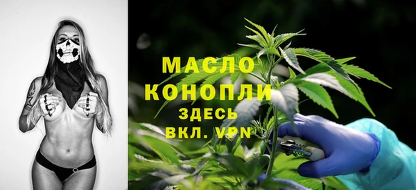 МДПВ Вяземский