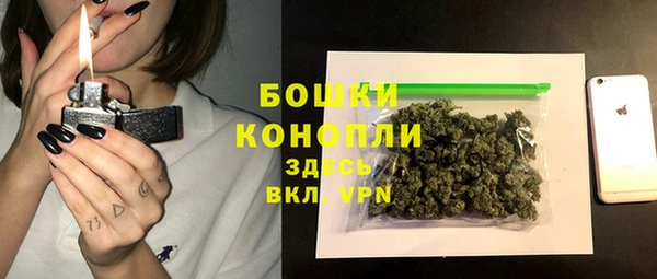 PSILOCYBIN Вязники