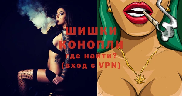 МДПВ Вяземский