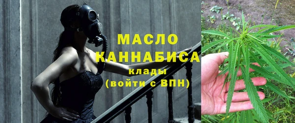 МДПВ Вяземский