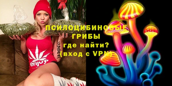 МДПВ Вяземский