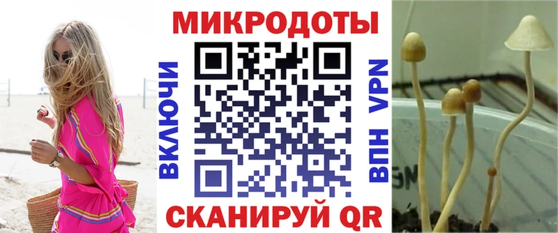 MEGA маркетплейс  Новокузнецк  Галлюциногенные грибы MAGIC MUSHROOMS 